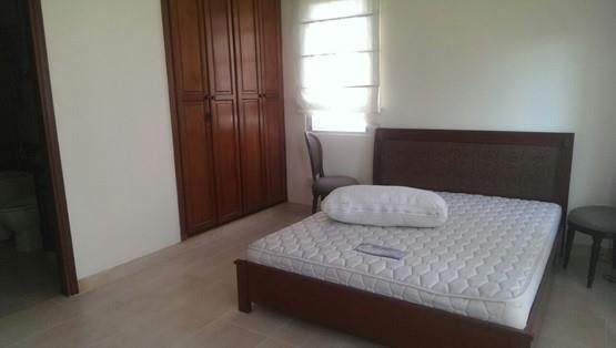 villa for rent in thao dien district 2 hcmc d2200097 (3)